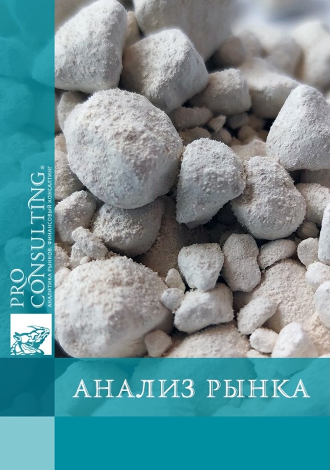 Аналитическая записка по рынку каолина Украины. 2024 год